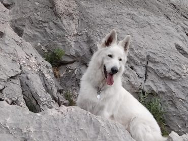 WhatsApp Image 2025-10-27 at 10.10.08